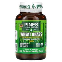 Паростки пшениці Вітграсс Wheat Grass Pines Паростки пшениці Вітграсс Wheat Grass Pines