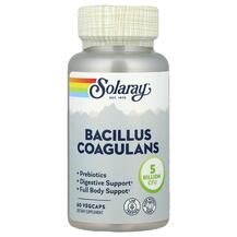 Bacillus Coagulans 5 Billion Пробиотики 5 миллиардов