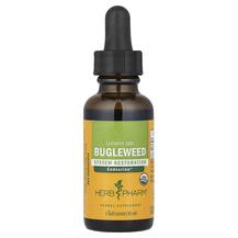 Огляд на Горлянка Bugleweed Lycopus 30 ml Огляд на Горлянка Bugleweed Lycopus 30 ml