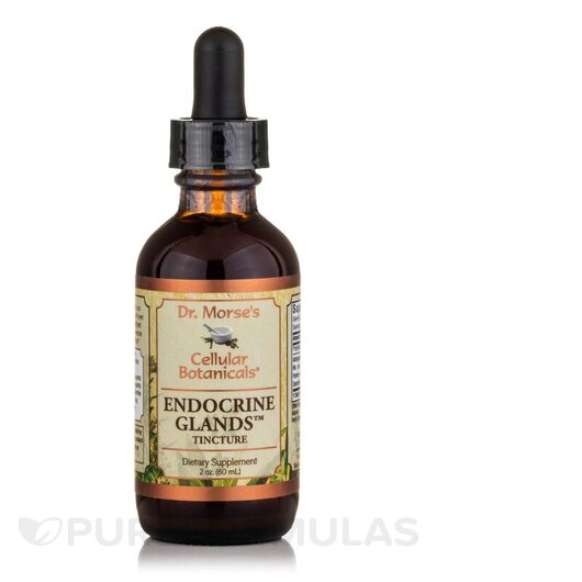 Основне фото товара Endocrine Support Tincture, Підтримка щитоподібної залози, 60 мл