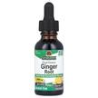 Фото товару Ginger Alcohol-Free 1000 mg, Корінь Імбиру, 30 мл