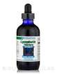 Фото товару Lymphatic Tincture, Підтримка Лімфи, 118.29 мл