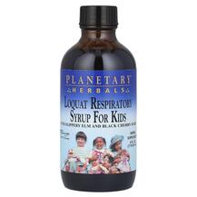 Підтримка органів дихання Loquat Respiratory Syrup Підтримка органів дихання Loquat Respiratory Syrup