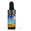 Dragon Herbs, Desert Cistanche Mini Drops, Цистанхе, 7.4 мл