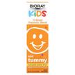 Bioray, NDF Tummy, Пробіотики для дітей, 60 мл