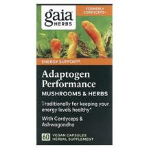 Adaptogen Performance Mushrooms & Herbs Грибы Gaia
