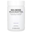 CodeAge, Ирландский морской мох, Sea Moss Wildcrafted, 120 капсул