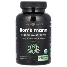 Огляд на Гриби Левова Грива Lion's Mane Огляд на Гриби Левова Грива Lion's Mane