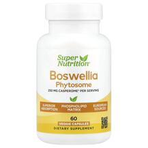 Босвелія Boswellia Serrata Phytosome 250 mg Super