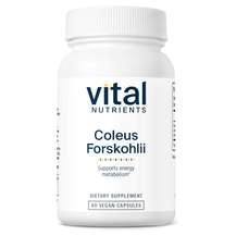 Coleus Forskolii 10% 90 mg Форсколин Vital Nutrients