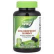 Фото товару Chlorophyll Gummies Orchard Fruit 50 mg, Хлорофіл, 60 таблеток