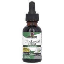 Chickweed Extract Alcohol-Free 2000 mg Звездчатка