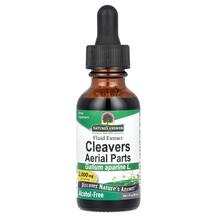 Підмаренник чіпкий Cleavers Galium Aparine 2000 mg