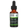 Gaia Herbs, Olive Leaf, Оливкове листя, 30 мл