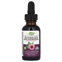 Echinacea Goldenseal Эхинацея и Желтокорень Nature's