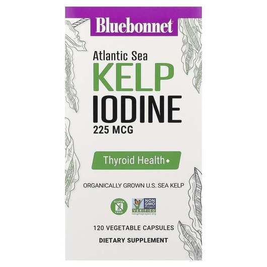 Основне фото товара Atlantic Sea Kelp Iodine, Ламінария, 120 капсул