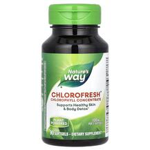 Chlorofresh Chlorophyll Хлорофилл Концентрат