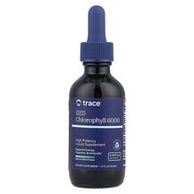 Хлорофіл Concentrated Ionic Chlorophyll Natural Mint