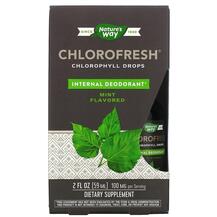 Chlorofresh Chlorophyll Drops Mint Flavored Nature's