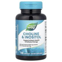 Choline & Inositol Холин и Инозитол 500 мг Nature's