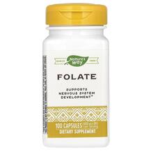 Folic Acid 800 mcg Фолиевая кислота 800 мкг Nature's Folic Acid 800 mcg Фолиевая кислота 800 мкг Nature's
