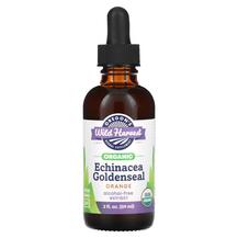 Ехінацея Organic Echinacea Goldenseal Orange Oregons