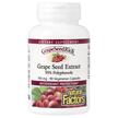 Grape Seed Extract 100 mg, Екстракт виноградних кісточок, 90 к...