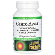 Gastro-Assist Мастиковая смола Natural Factors
