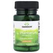 Фото товару L. Plantarum Probiotic 10 Billion CFU, Лактобактерії, 30 капсул
