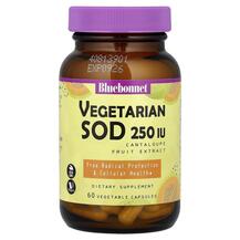 Super Fruit Vegetarian SOD Cantaloupe Fruit Extract