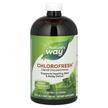 Nature's Way, Chlorofresh Liquid Mint, Хлорофіл, 473 мл