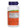 Фото складу NOW, Holy Basil Extract 500 mg, Базилік 500 мг, 90 капсул