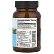 Фото складу Organic India, Memory, Підтримка мозку, 90 капсул