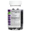 Фото складу Standardized Elderberry Vitamin C & Zinc, Чорна Бузина, 90 та