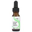 Фото використання Seeking Health, Lactase Drops, Фермент Лактаза, 15 мл