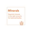 Фото використання NOW, Colloidal Minerals, Колоїдні мінерали, 946 мл