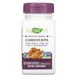 Фото використання Nature's Way, Cordyceps, Кордицепс 1000 мг, 60 капсул