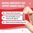 Фото використання Girl's Gotta Go Urinary Tract, Підтримка сечового міхура, 60