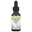Фото використання Herbs Etc., Mullein Garlic Ear Drops, Вушні краплі, 30 мл