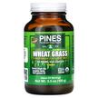 Фото використання Wheat Grass Powder, Паростки пшениці Вітграсс, 100 г