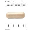 Фото використання Turmeric Joint Complex Capsules, Екстракт кореня куркуми, 180 Veg