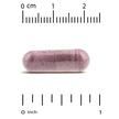 Фото використання Cranberry Phytosome Anthocran 120 mg, Журавлина, 60 капсул