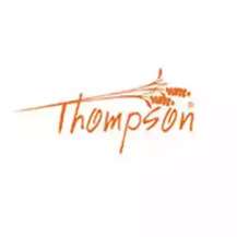 О производителе Thompson, где купить в Украине?