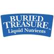 Buried Treasure