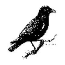 Про бренд J.Crow's, де купити в Україні?