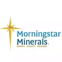 Про бренд Morningstar Minerals, де купити в Україні?