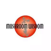 Про бренд Mushroom Wisdom, де купити в Україні?