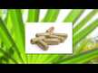Відео огляд на Gaia Herbs, Prostate Health, Підтримка простати, 120 капсул