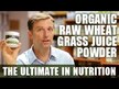 Відео огляд на Wheatgrass Juice Powder Lemon, Паростки пшениці Вітграсс, 164 г
