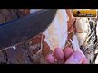 Відео огляд на NOW, Pine Bark Extract 240 mg, Пікногенол 240 мг, 90 капсул
